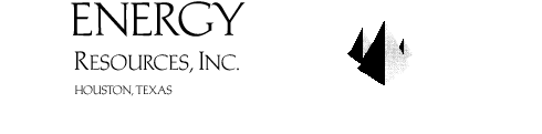 Turn On Image for Logo